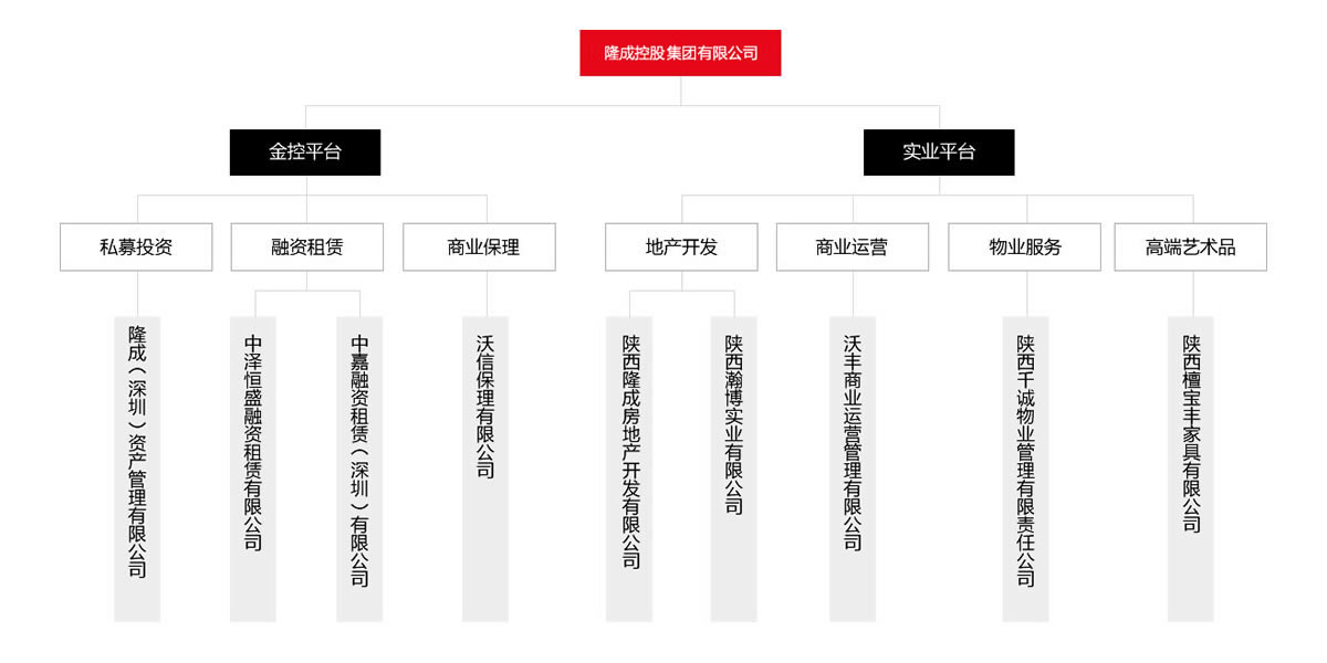匯高OA系統(tǒng)陜西區(qū)為隆成控股集團(tuán)公司進(jìn)行管理升級(jí)！