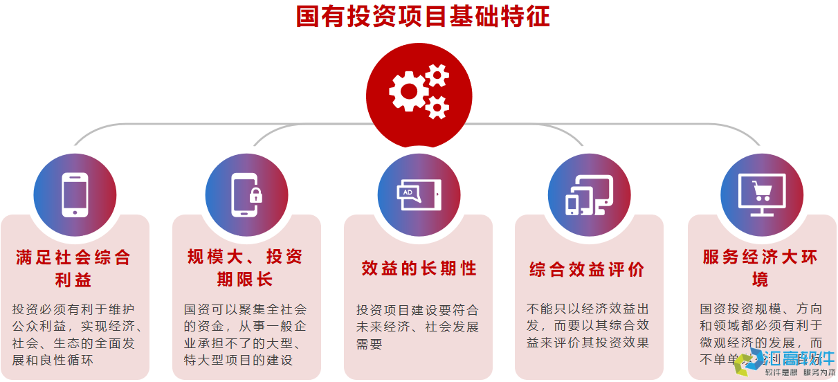 國(guó)資投資項(xiàng)目管理概述 國(guó)資投資項(xiàng)目管理概述